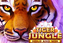 RTP quickspin honeyslot777